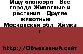 Ищу спонсора - Все города Животные и растения » Другие животные   . Московская обл.,Химки г.